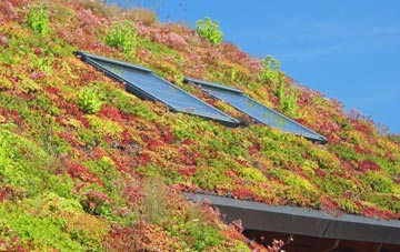 Sellibister living roof systems