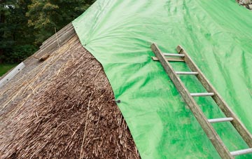 maintaining Sellibister thatch